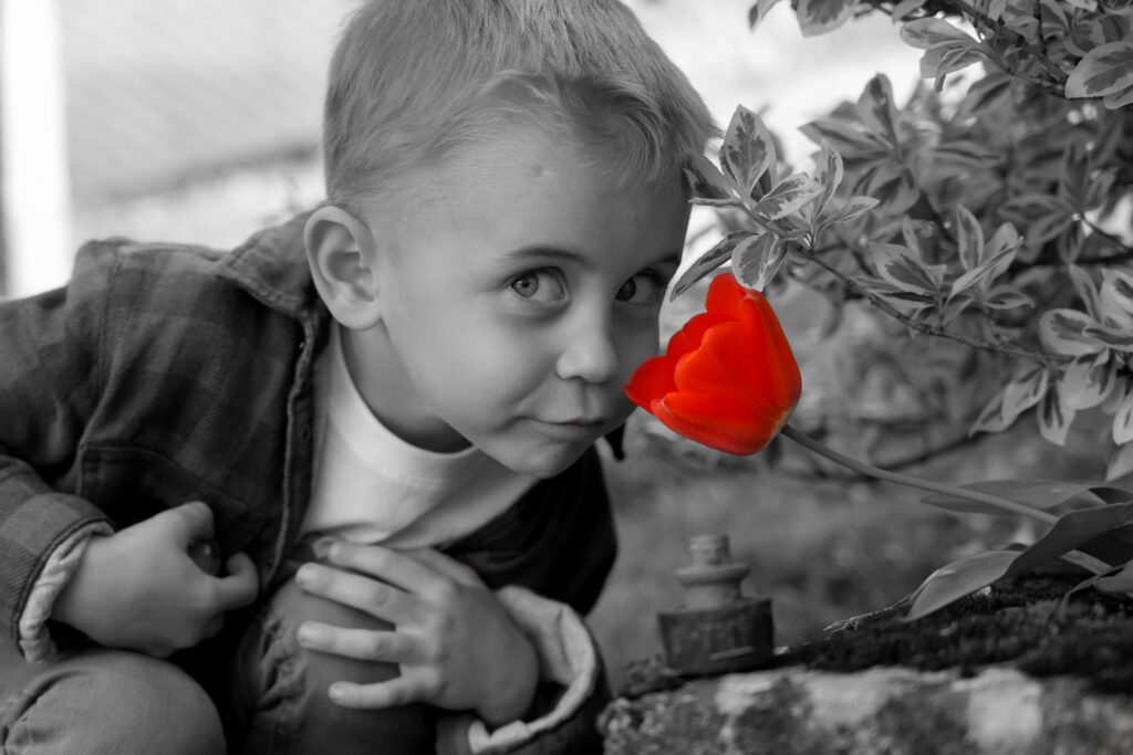 photographie, shooting, photographe, grossesse, naissance, mariage, baptêmes, bébé, enfants, nouveau né, culinaire, professionnel, commercial, formule, Montbéliard, Belfort, audincourt, Beaucourt, Delle, grand est, Alsace, bourgogne franche-comté, Besançon, vesoul, suisse, jura,